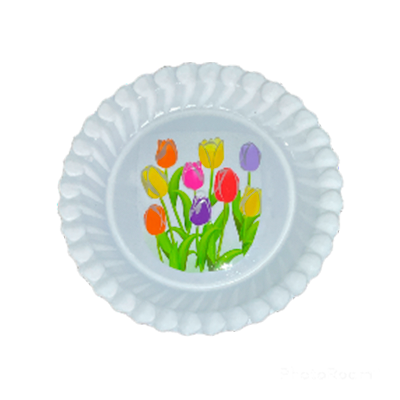 PLATO ARROCERO BLANCO